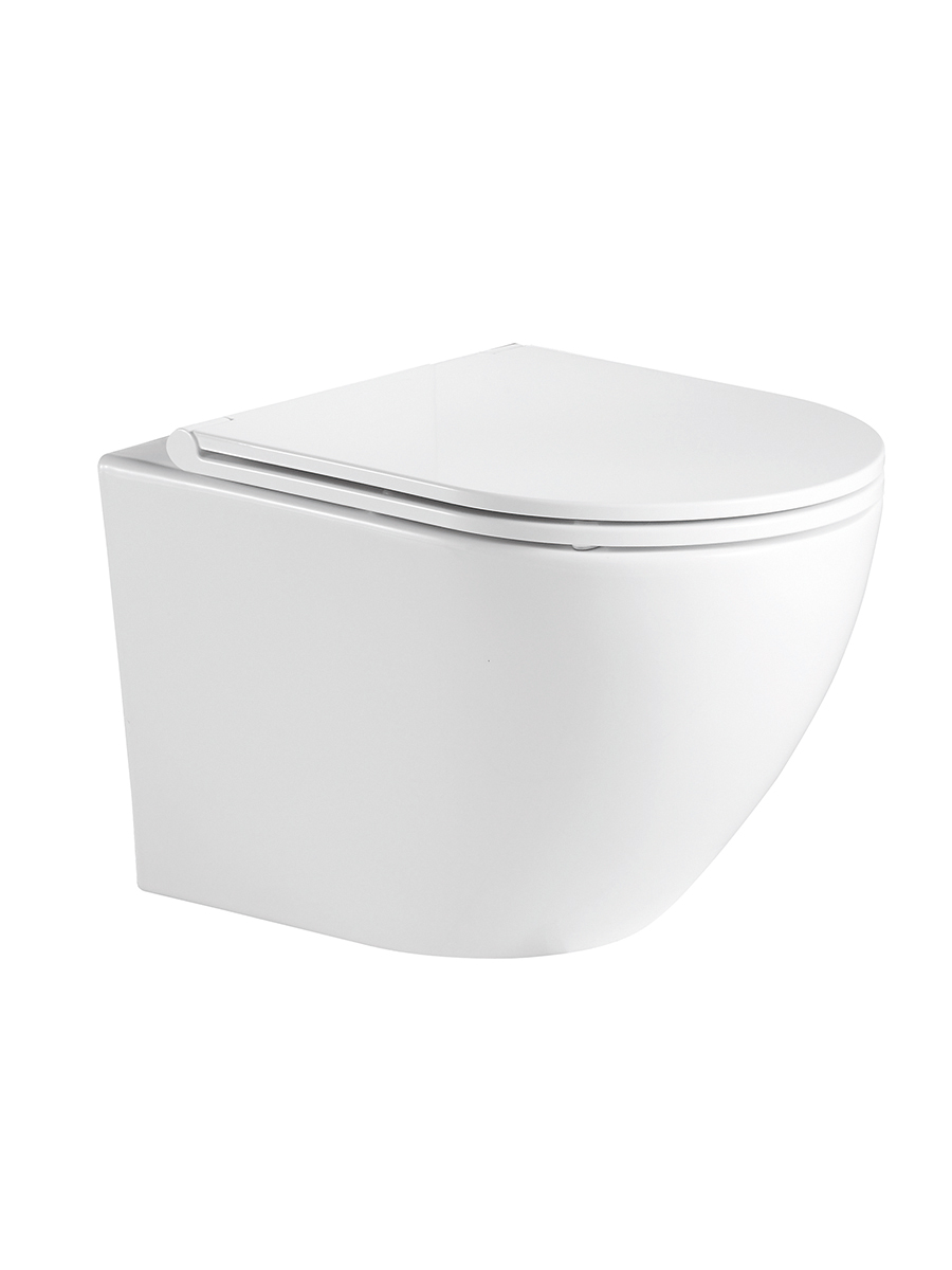Lagoon wall hung WC with seat