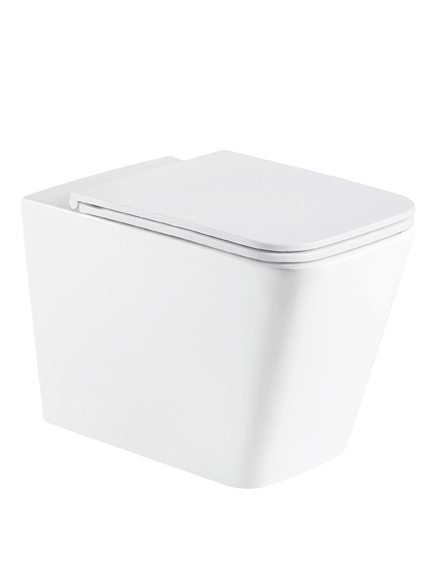 Anthem back to wall WC with seat